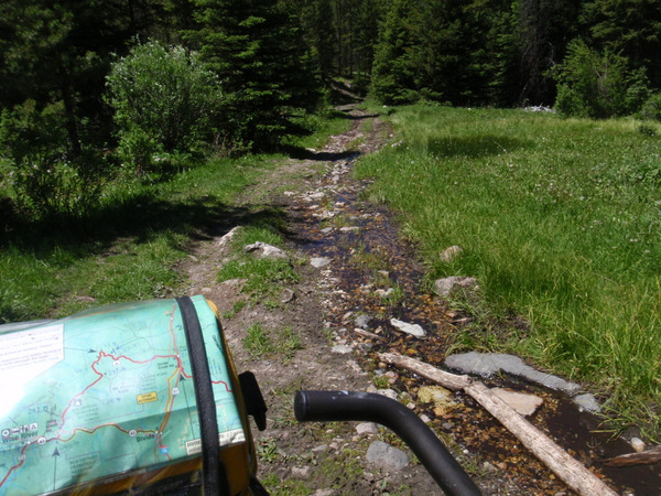 Biking along a spring.